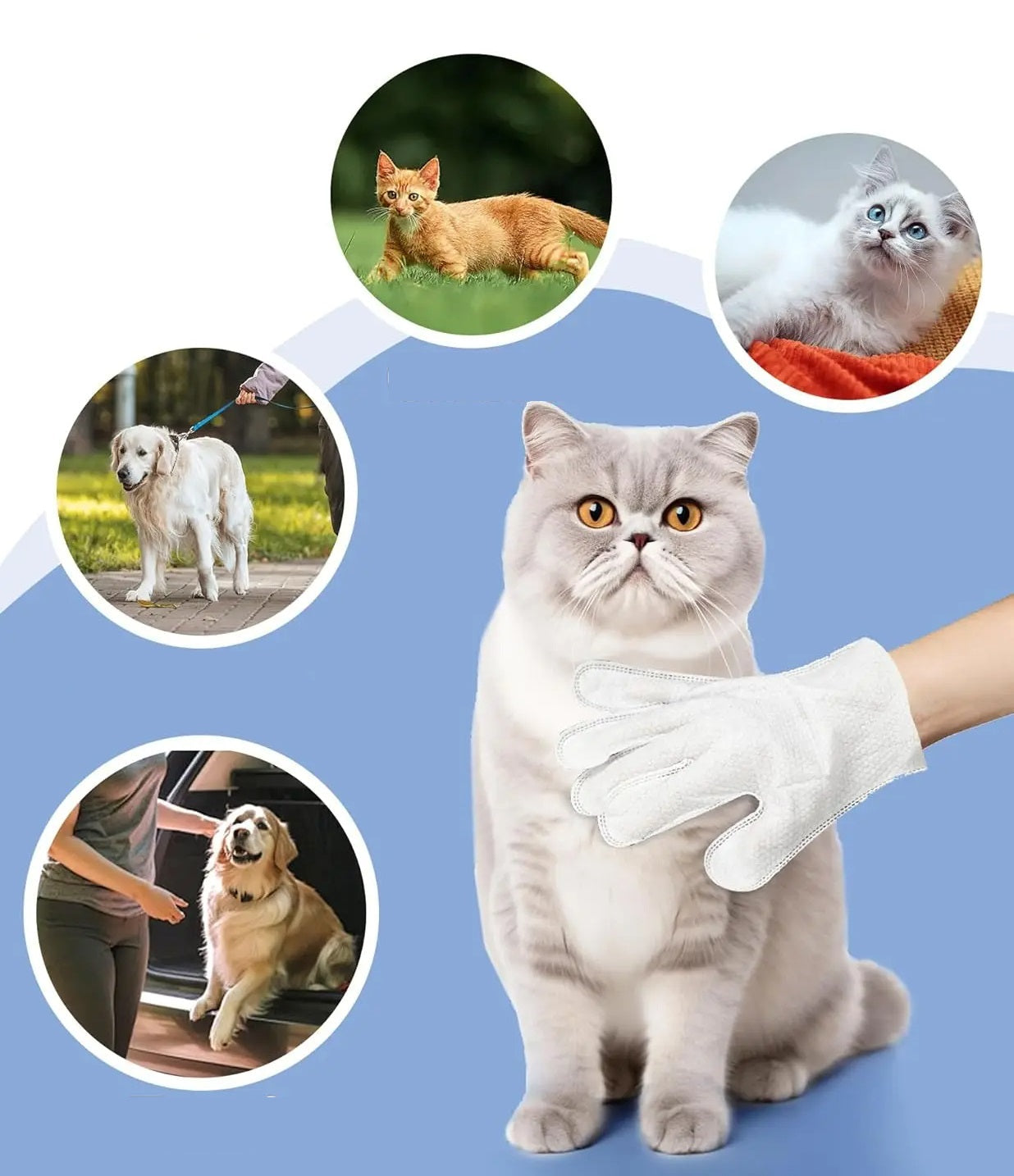Badehandsker til kæledyr – Rengørings- og lugtfjernende vådservietter til hunde og katte, perfekt daglig plejeværktøj til kæledyr 3