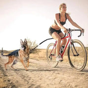 Cykelhundesnor 1
