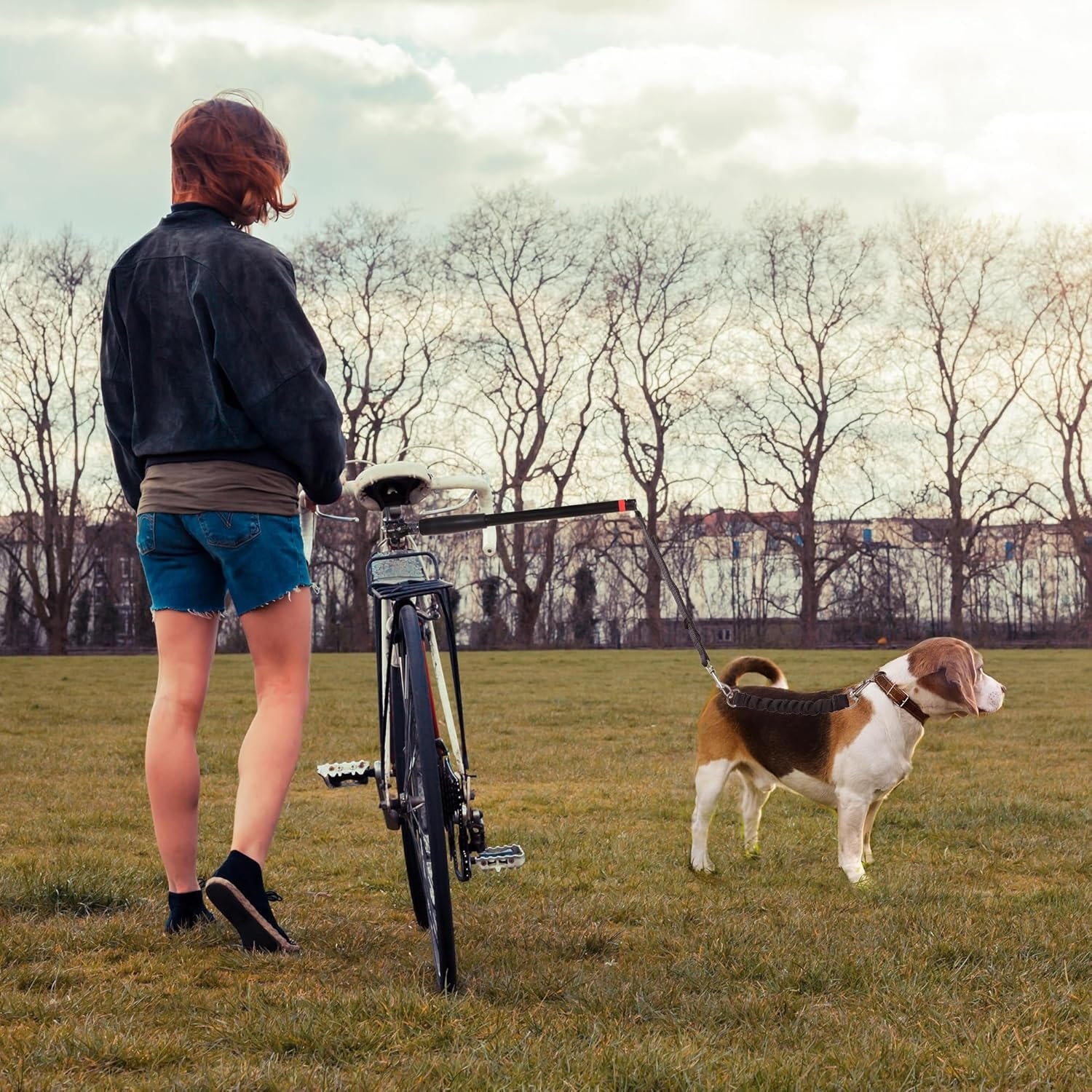 Cykelhundesnor 5