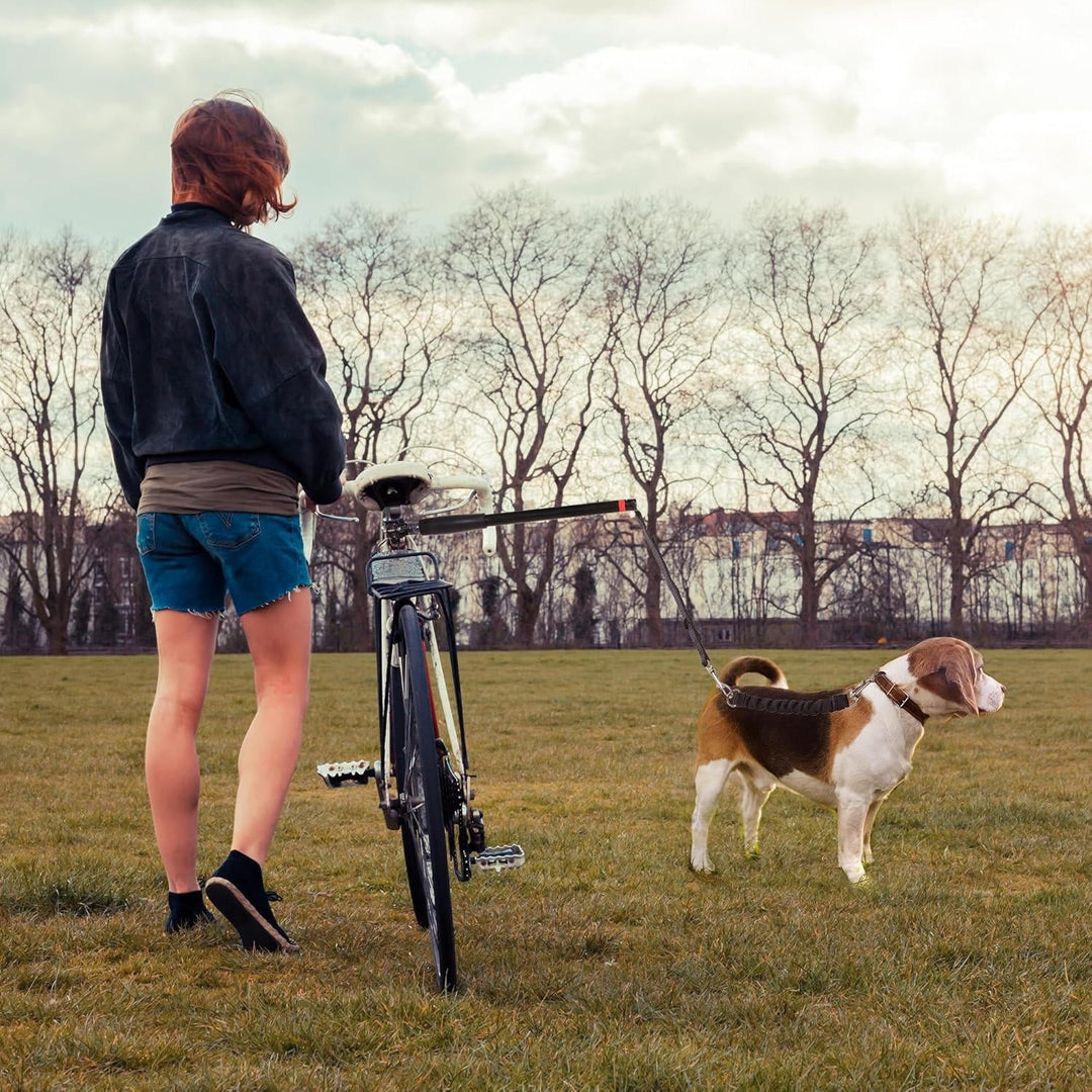 Cykelhundesnor 5