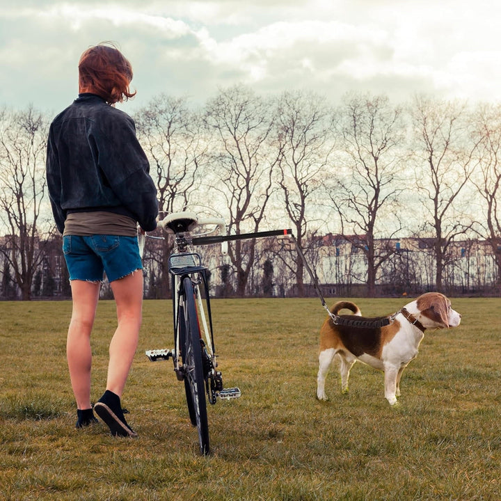 Cykelhundesnor 5