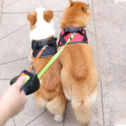 Dobbelt hundesnor mod sammenfiltring 2