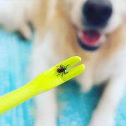 Fjernelsesanordning til flåter til hunde og kæledyr 4