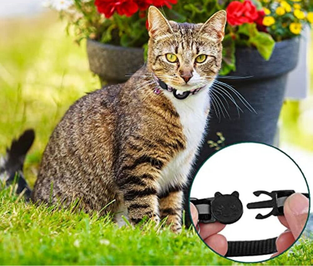GPS-halsbånd til katte | Hurtigudløsende lukning, reflekterende design og holdbar til sikre udendørseventyr 8
