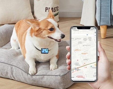 GPS-tracker til hunde | Lokaliseringshalsbånd 5