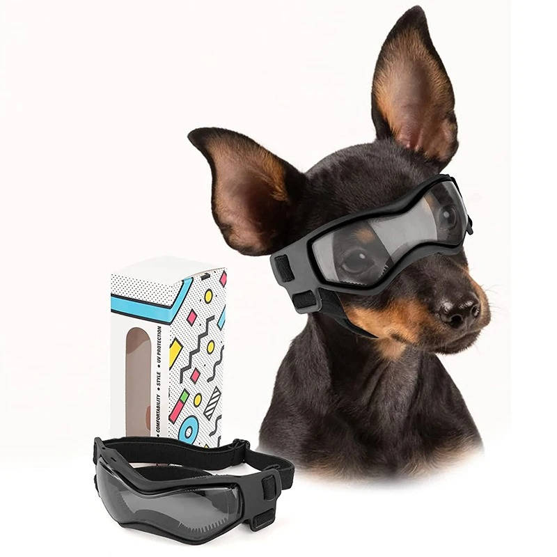 Hundebeskyttelsesbriller 0