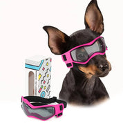 Hundebeskyttelsesbriller 6