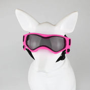 Hundebeskyttelsesbriller 7