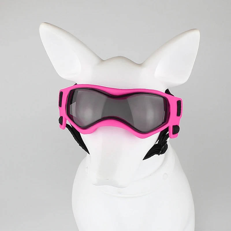 Hundebeskyttelsesbriller 7