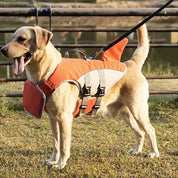 Hundeflyderjakke 7