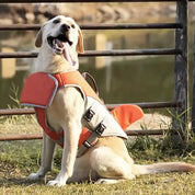Hundeflyderjakke 8