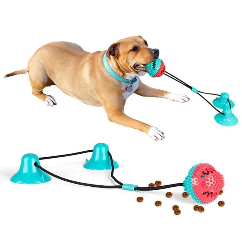 Hundesugelegetøj 1