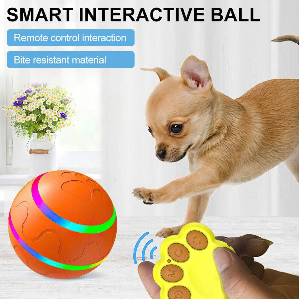 Interaktiv hundeboldlegetøj 1