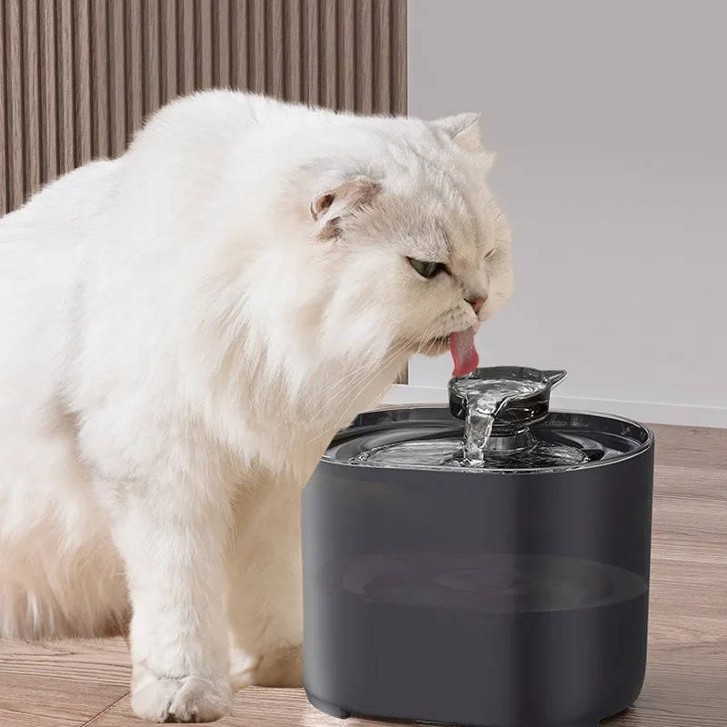 Kattevandfontæne 9