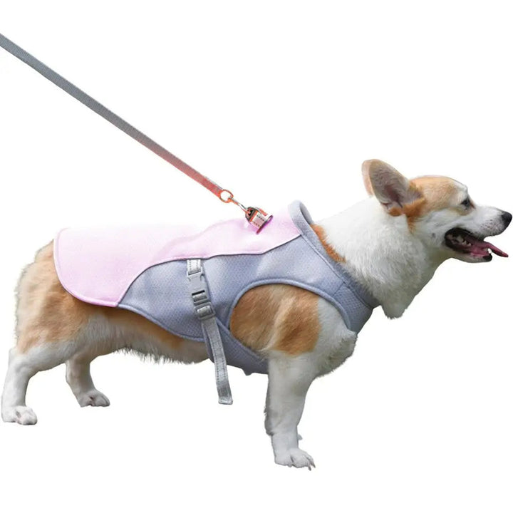 Kølevest til hunde til udendørsaktiviteter 0