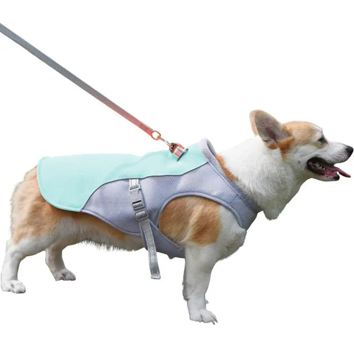 Kølevest til hunde til udendørsaktiviteter 7