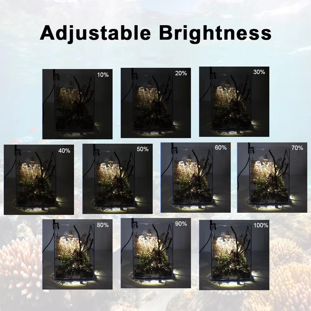 LED-lys til akvarium 6