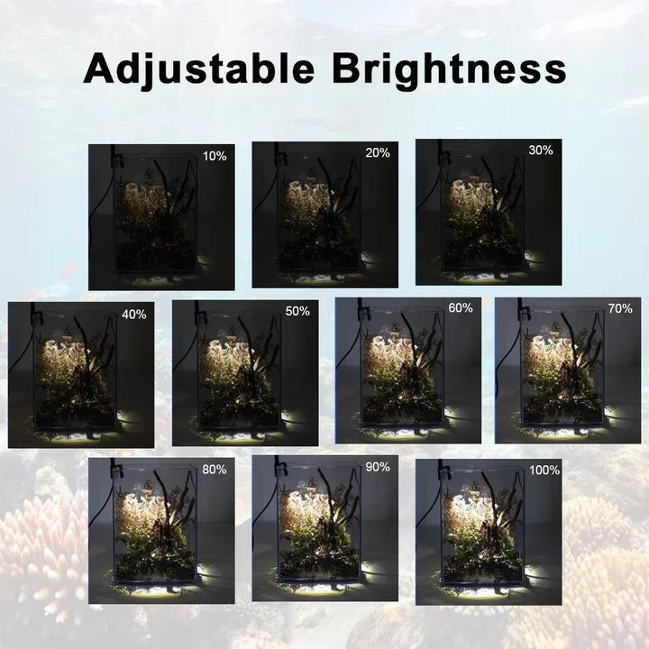 LED-lys til akvarium 6