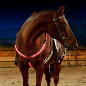 LED brystkrave hest 7