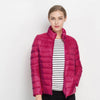 Pink Fuchsia / M