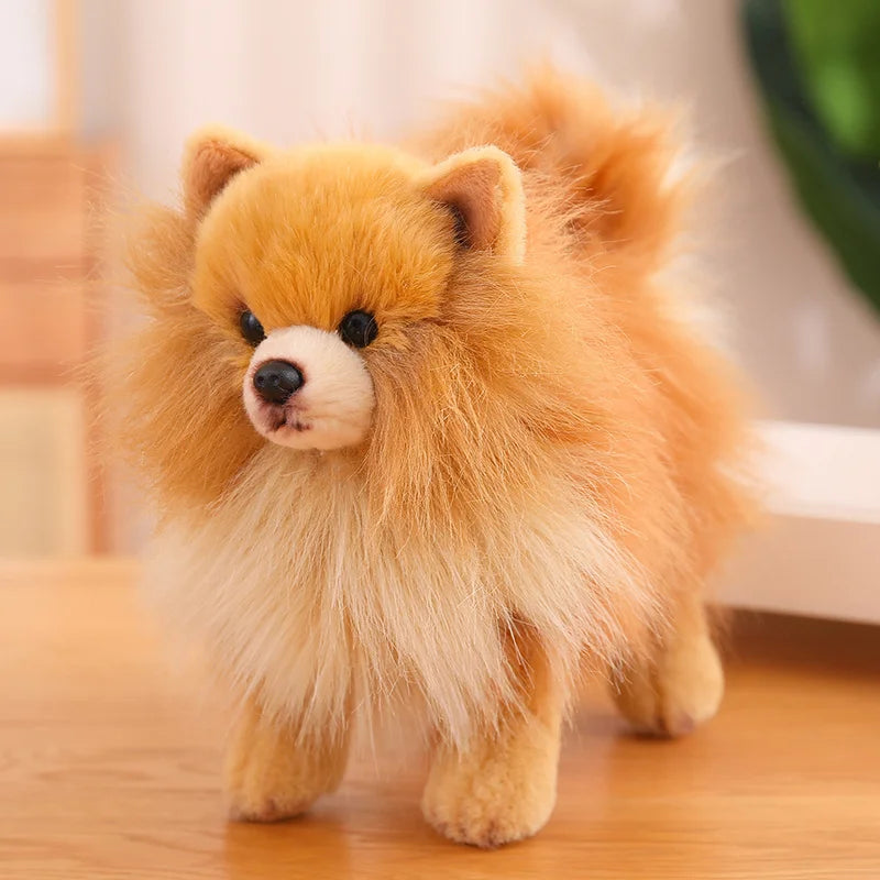 Premium plys Pomeranian tøjdyr – Bløde, realistiske hundeplys til børn, 30 cm høje 0