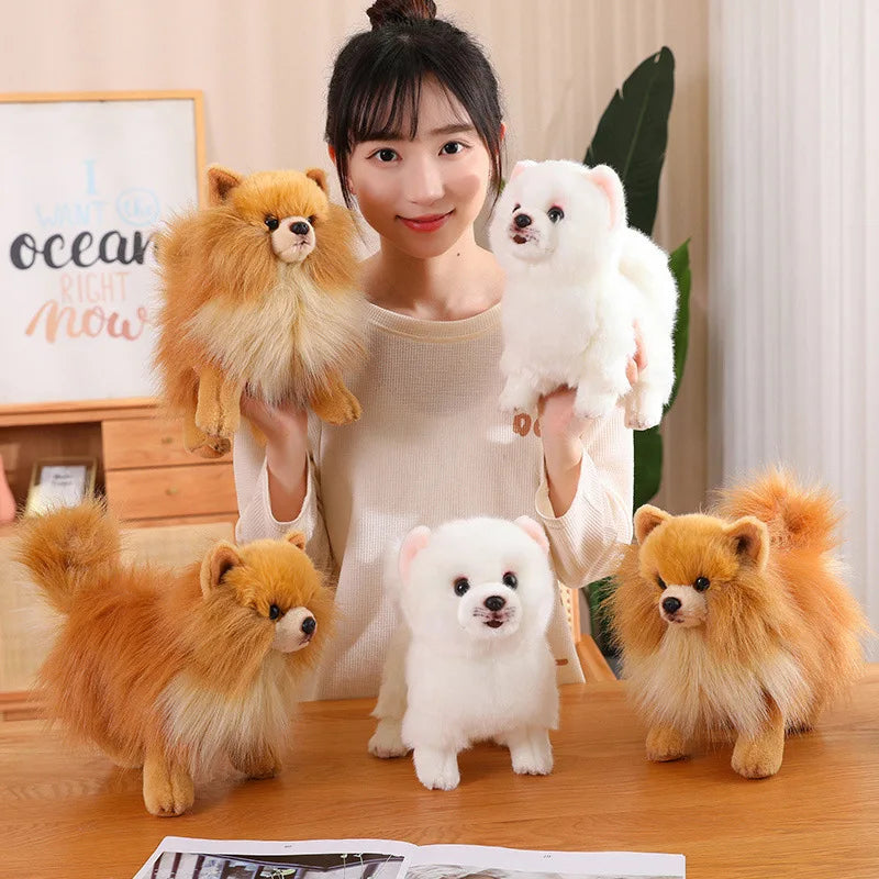 Premium plys Pomeranian tøjdyr – Bløde, realistiske hundeplys til børn, 30 cm høje 1
