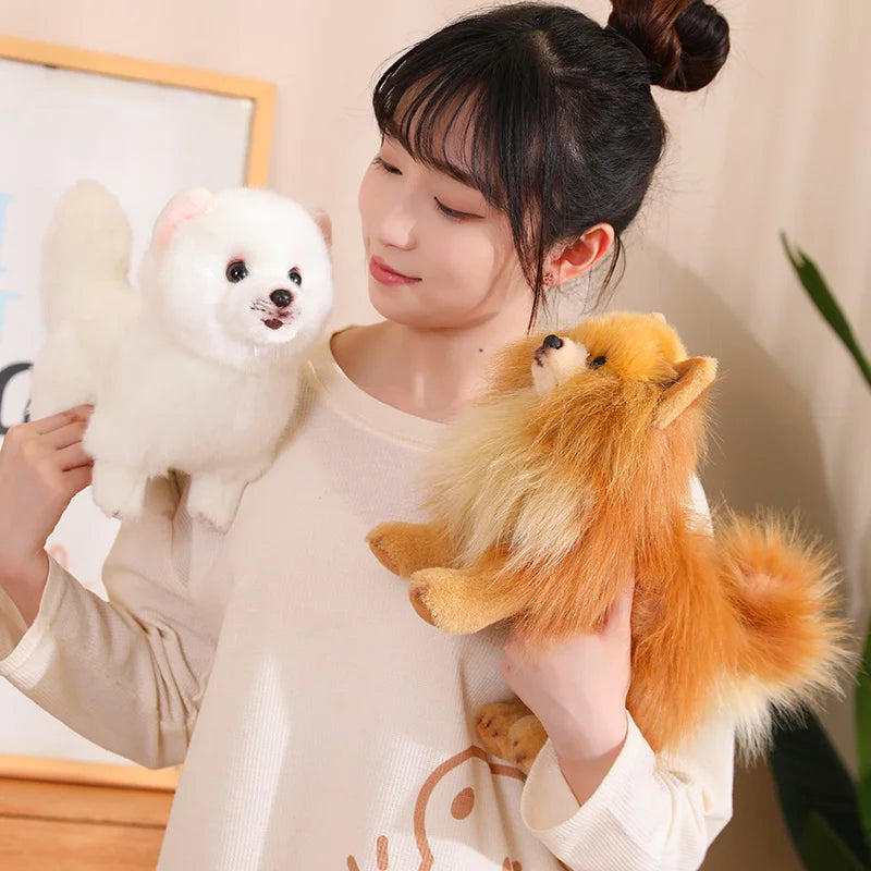 Premium plys Pomeranian tøjdyr – Bløde, realistiske hundeplys til børn, 30 cm høje 2