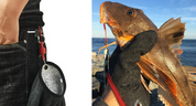 Punkteringssikre fiskehandsker – Fiskerhandsker med magnetisk udløser, skridsikkert og beskyttende design 6
