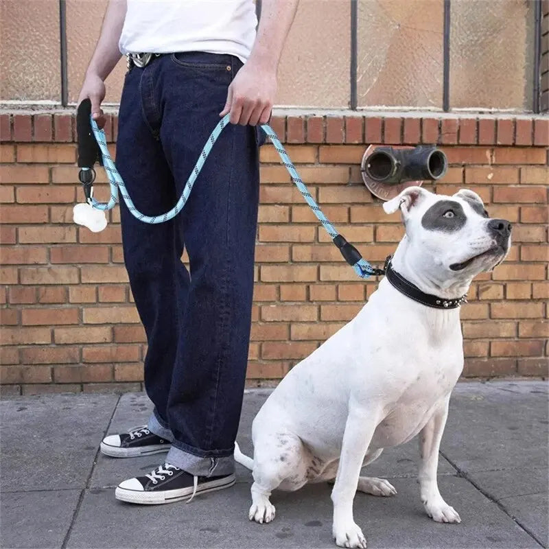 Reflekterende hundesnor med polstret håndtag 1