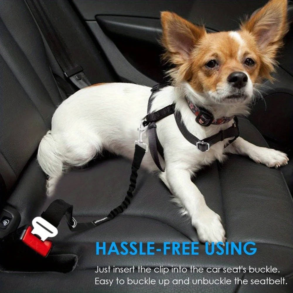Sikkerhedssele til hunde i bilen 1