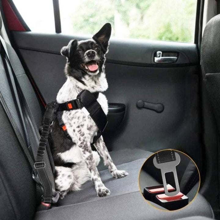 Sikkerhedssele til hunde i bilen 3