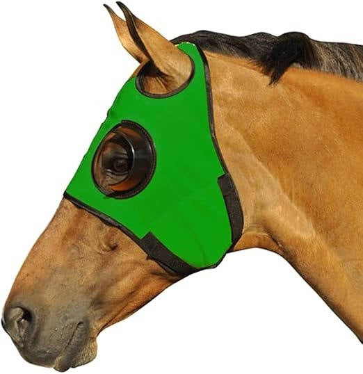 Skyklapper til hest 1