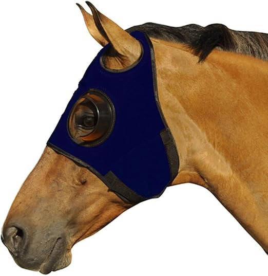 Skyklapper til hest 2