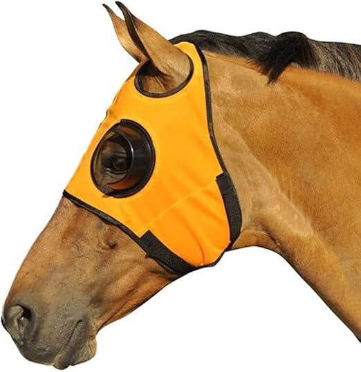 Skyklapper til hest 3