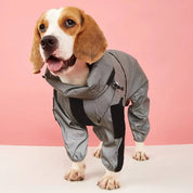 Vandtæt regnfrakke til hunde 5